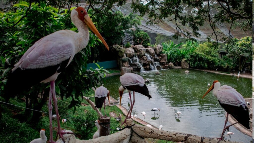 Kus Cenneti: Bird Sanctuary in Edirne