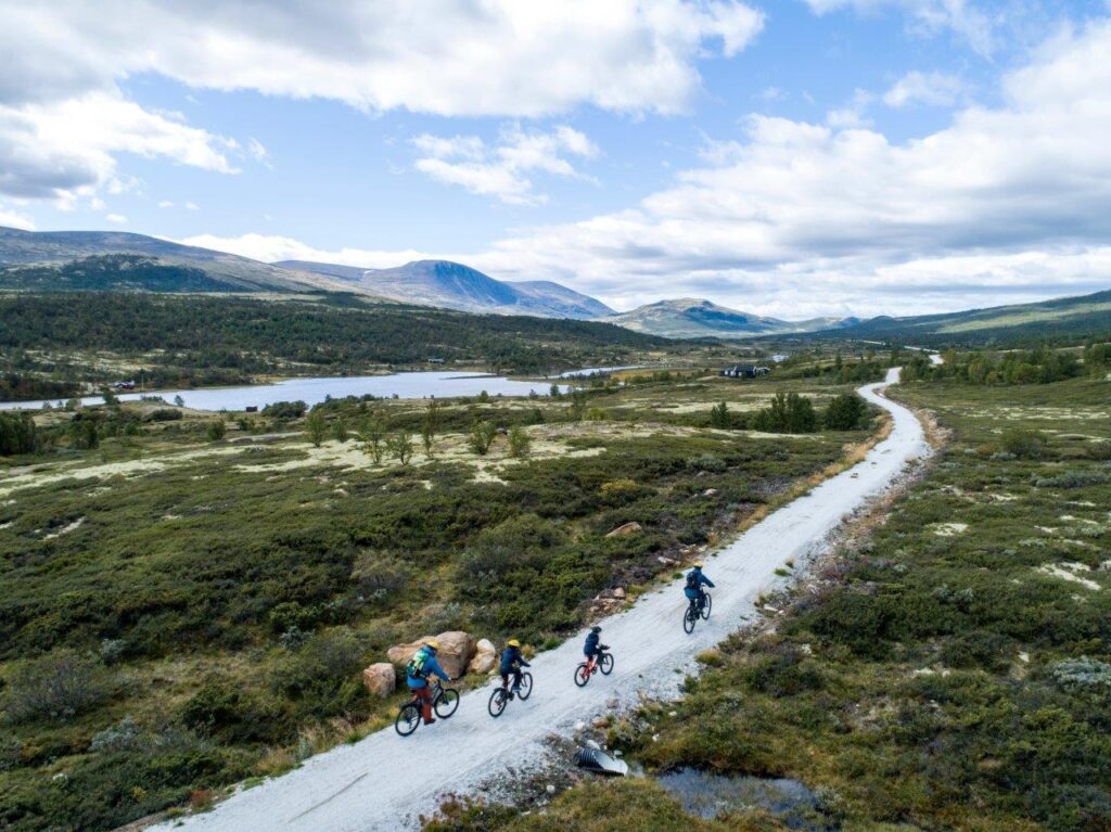 Hiking the Lush Landscapes of Dovre Mountains