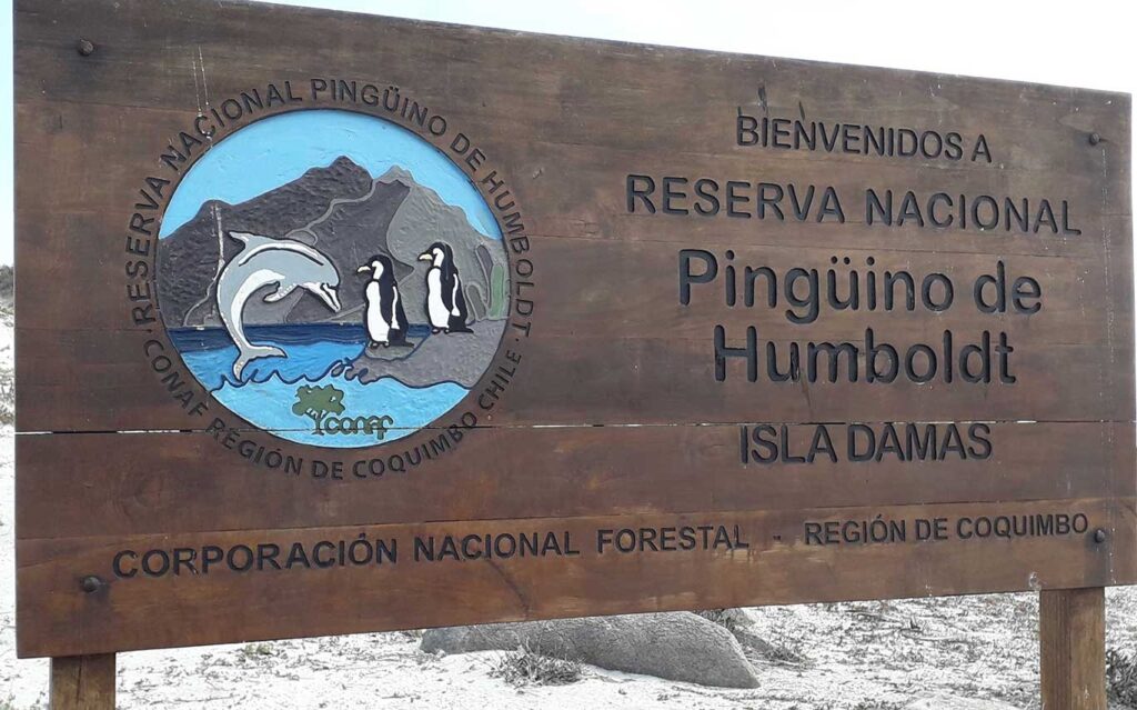 Exploring the Island of Damas, Coquimbo Region