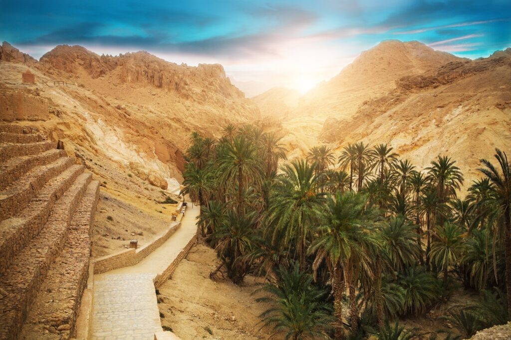 Best Things to Do in Tozeur: Gateway to the Desert